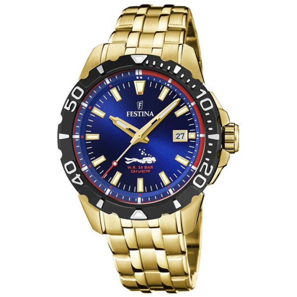 

Часы Festina F20500-2