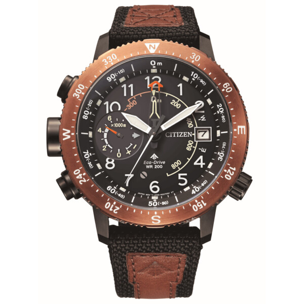 

Мужские часы Citizen BN4049-11E