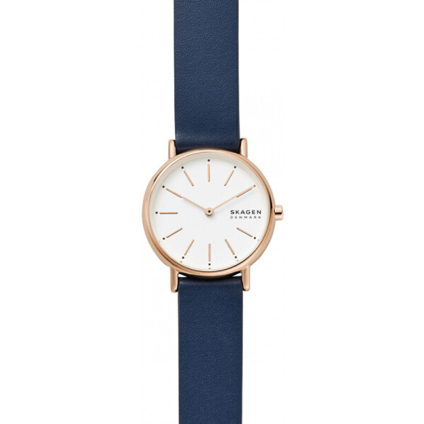 

Часы Skagen SKW2838