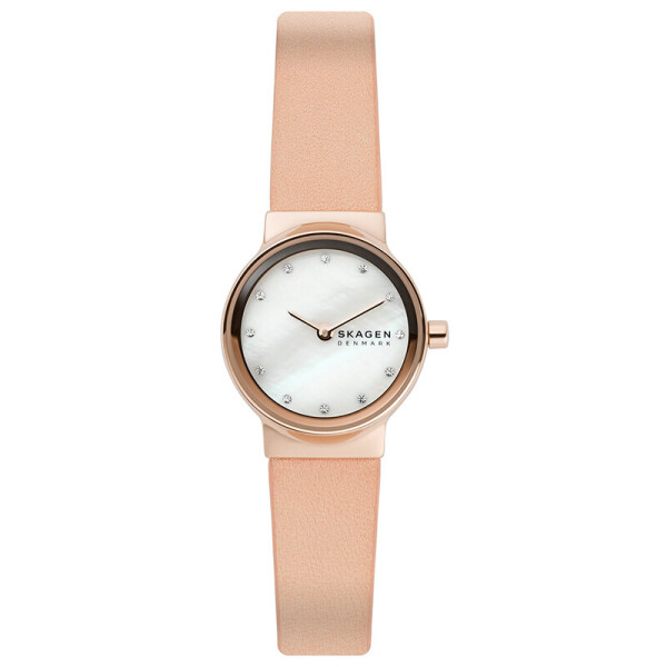 

Часы Skagen SKW1113