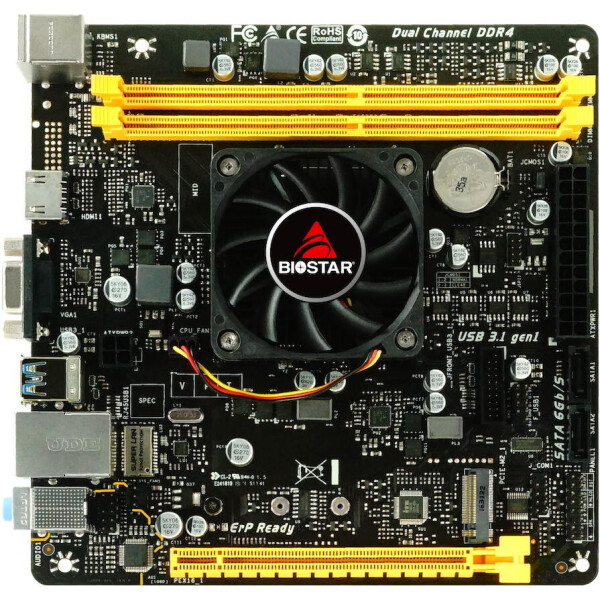 

Biostar A10N-8800E