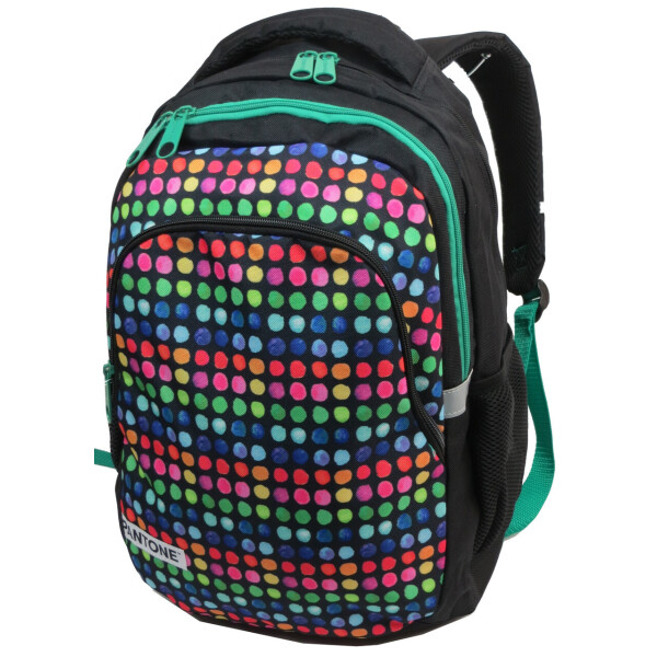 

Молодежный рюкзак PASO 18L, 00-699PAN разноцветный