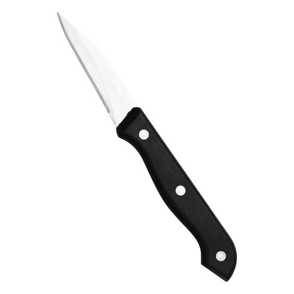 

Нож для чистки овощей 7.5см San Ignacio SG-4254