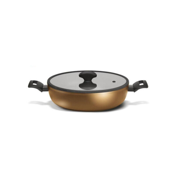 

Сотейник TVS Tenace Induction 24 см (DT474243710001C)