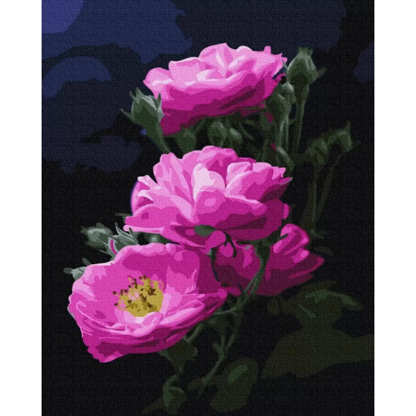 

Картина по номерам. Rainbow Art Розовый во тьме GX24788-RA