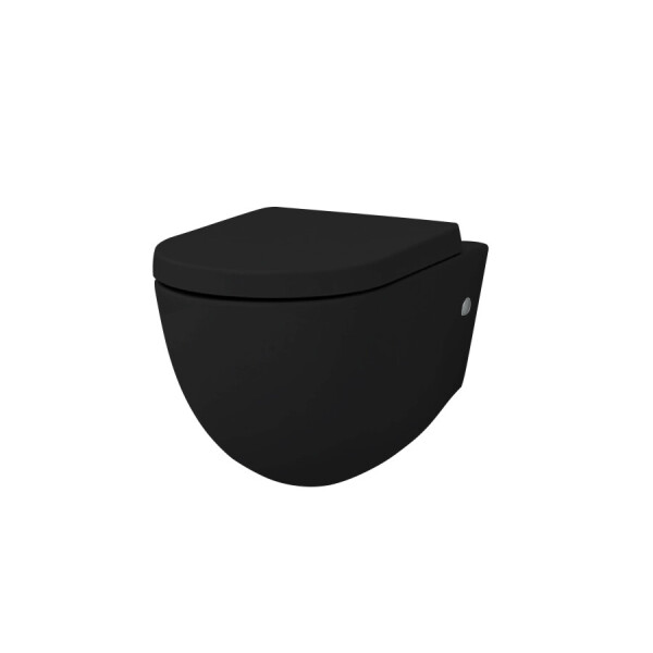 

Подвесной унитаз ArtCeram File 2.0, matt black (FLV0011700)