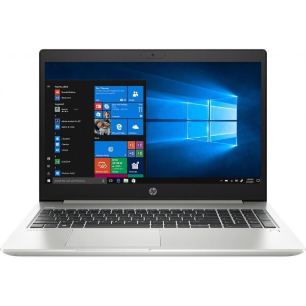 

HP ProBook 455 G7 (7JN02AV_V16)