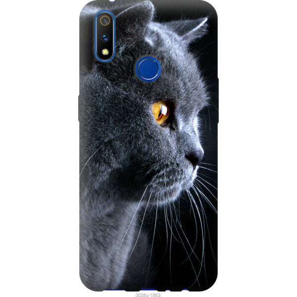 

на Realme X Lite Красивый кот