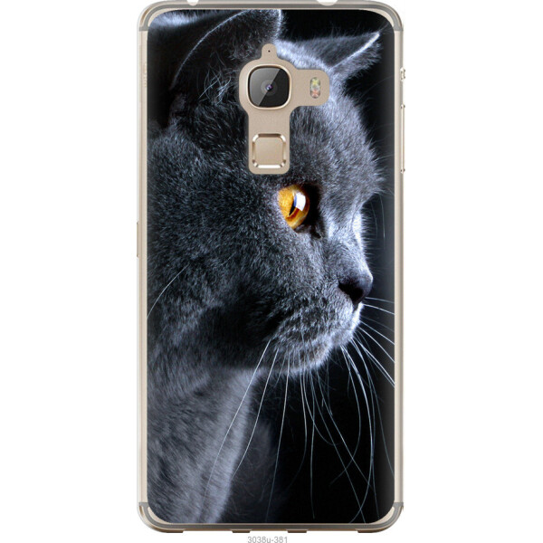 

на LeTV Max X900 Красивый кот