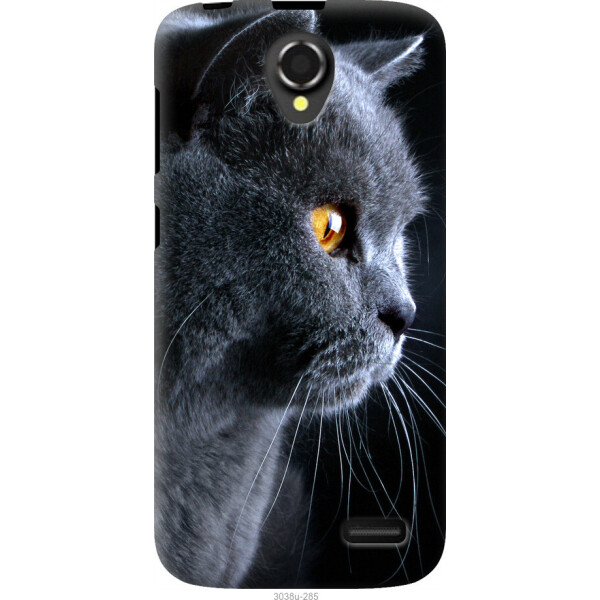 

Чехол на Lenovo A388t Красивый кот