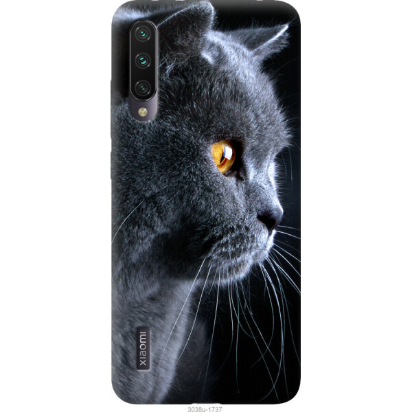 

на Xiaomi Mi A3 Красивый кот