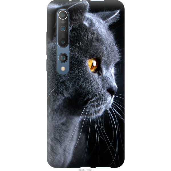 

на Xiaomi Mi 10 Красивый кот