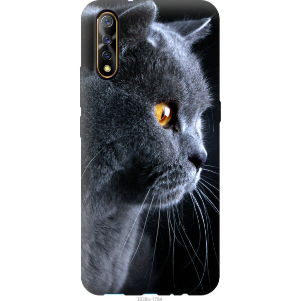 

на Vivo V17 Neo Красивый кот