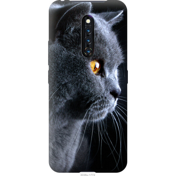

на Vivo X27 Pro Красивый кот