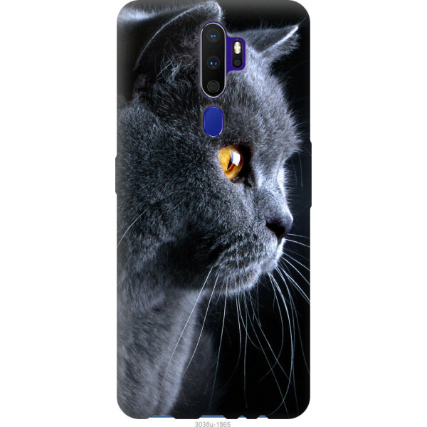 

на Oppo A9 2020 Красивый кот