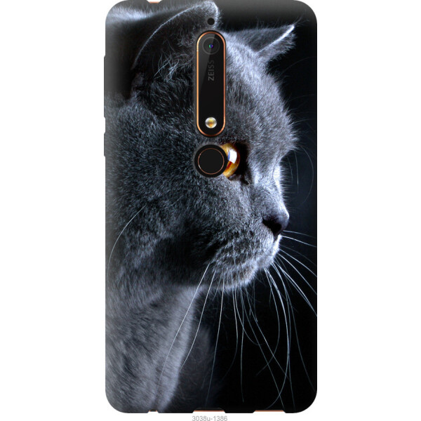 

на Nokia 6 2018 Красивый кот