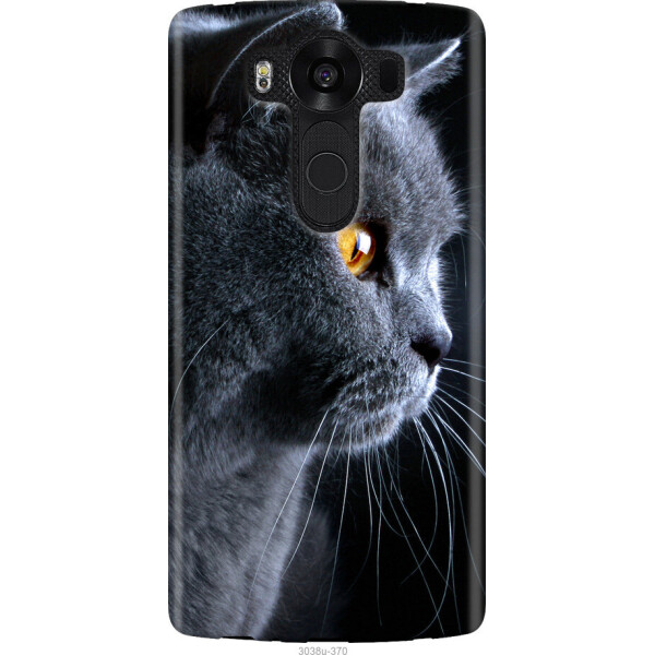

на LG V10 H962 Красивый кот