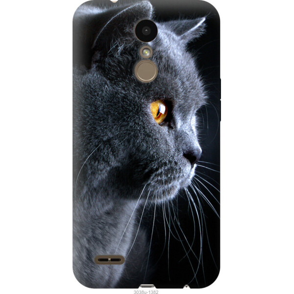 

на LG K10 2018 Красивый кот