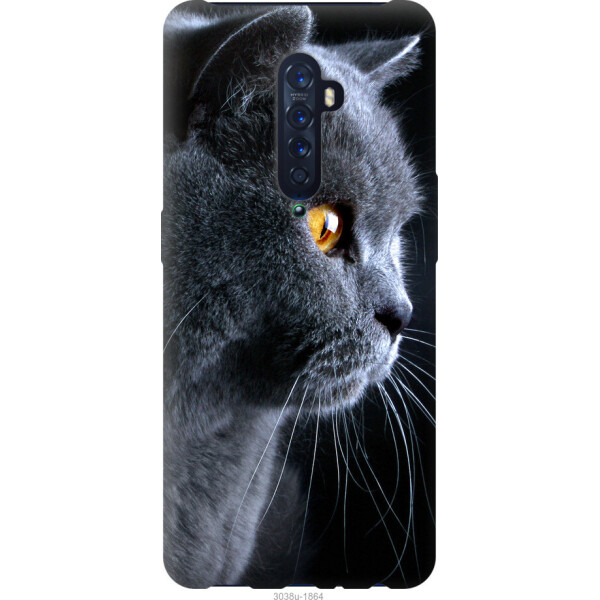 

на Oppo Reno 2 Красивый кот