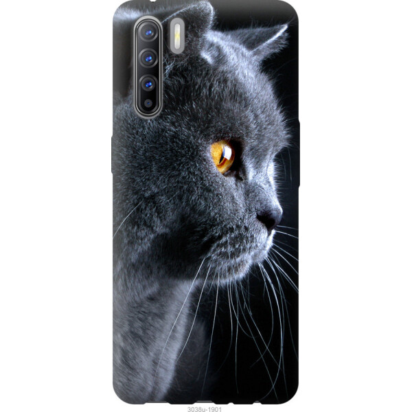 

на Oppo Reno 3 Красивый кот