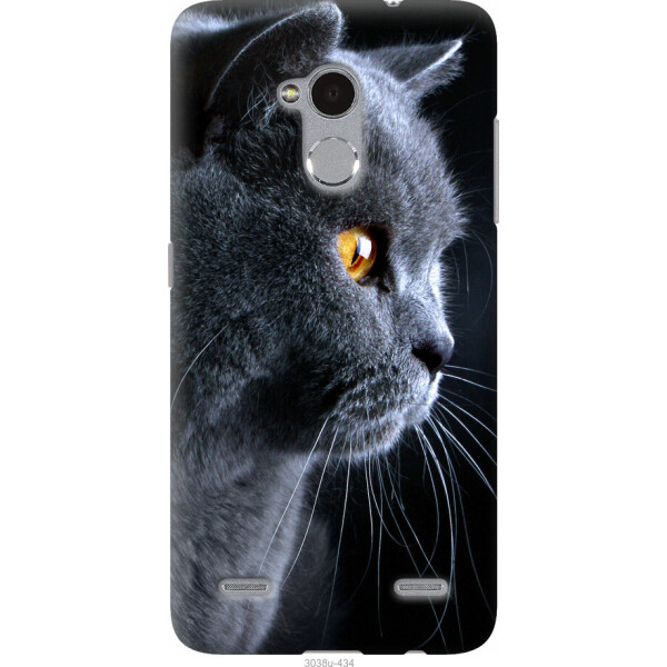 

на ZTE V7 Lite Красивый кот