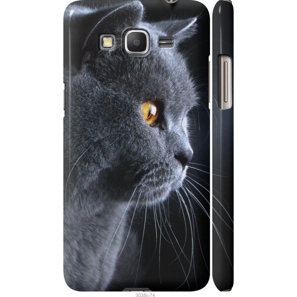 

на Samsung Galaxy Grand Prime G530H Красивый кот