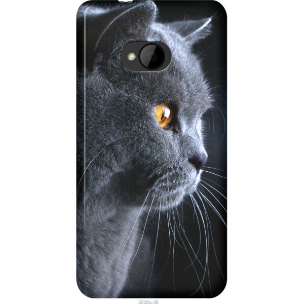 

на HTC One M7 Красивый кот