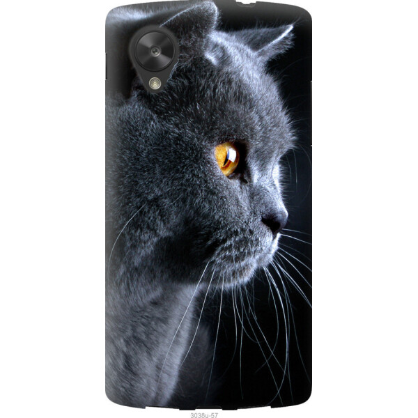 

на LG Nexus 5 Красивый кот