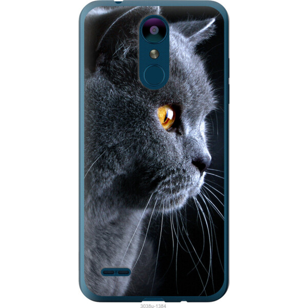 

на LG K8 2018 Красивый кот