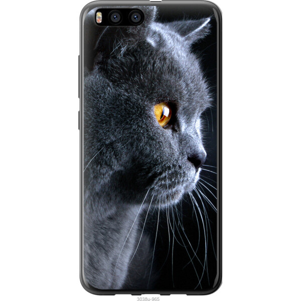 

на Xiaomi Mi6 Красивый кот