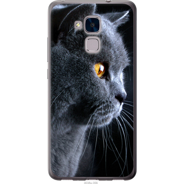 

на Huawei GT3 Красивый кот