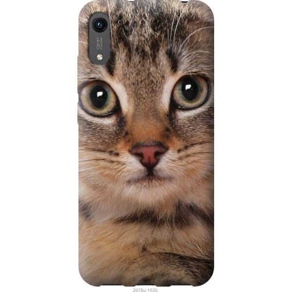 

на Huawei Y6s Полосатый котик