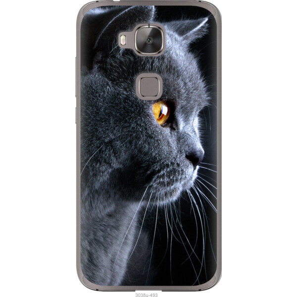 

на Huawei G8 Красивый кот