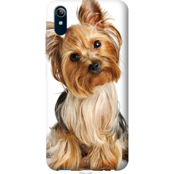 

на Vivo Y91C Йоркширский терьер с хвостиком