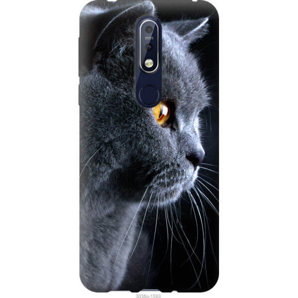 

на Nokia 7.1 Красивый кот