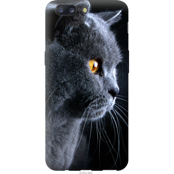 

на OnePlus 5 Красивый кот
