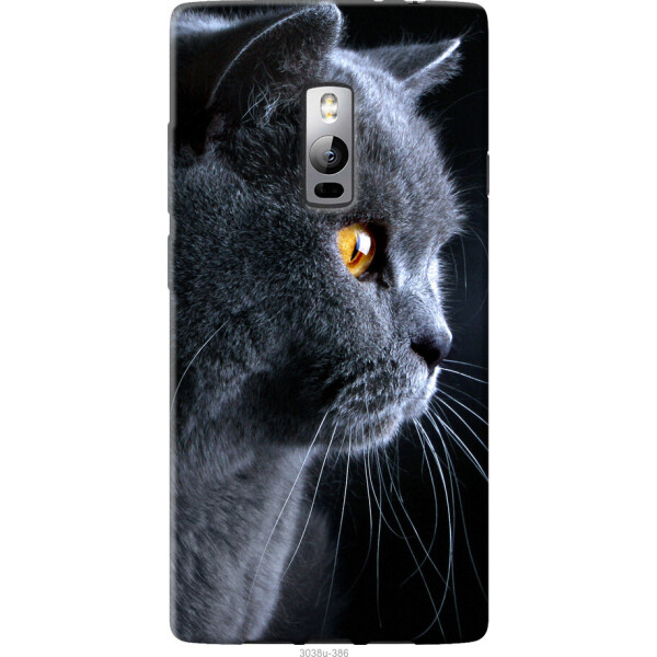 

на OnePlus 2 Красивый кот