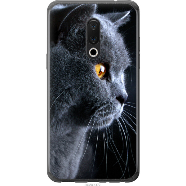 

на Meizu 15 Красивый кот
