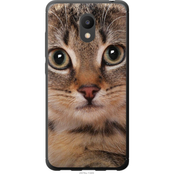 

на Meizu M6 Полосатый котик