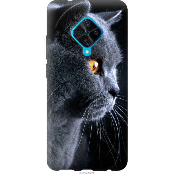 

на Vivo V17 Красивый кот