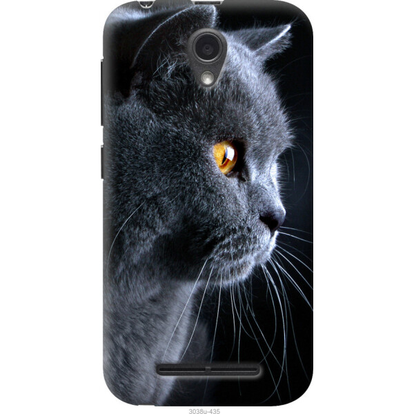 

на ZTE L110 Красивый кот