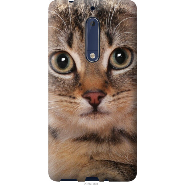 

на Nokia 5 Полосатый котик