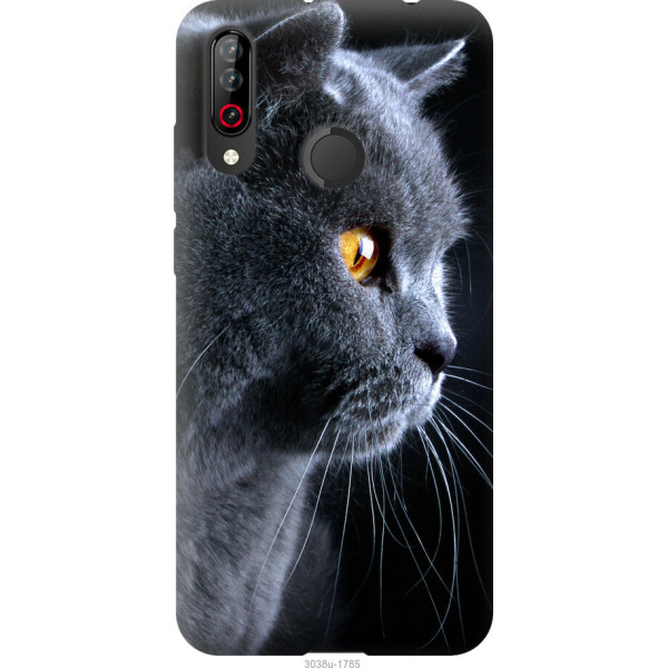 

на LG W30 Красивый кот