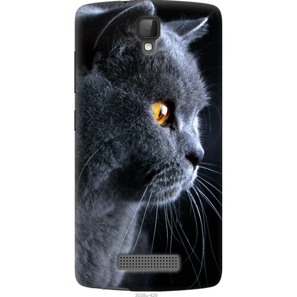 

на ZTE L5 Красивый кот