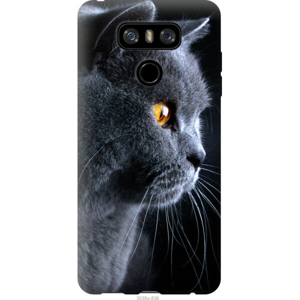 

на LG G6 Красивый кот