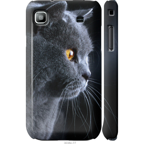 

на Samsung Galaxy S i9000 Красивый кот