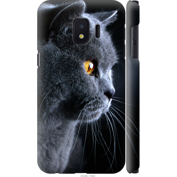 

на Samsung Galaxy J2 Core Красивый кот