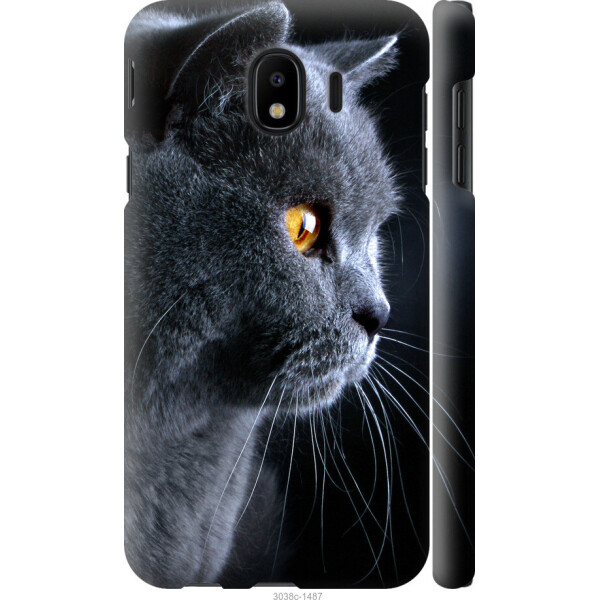 

на Samsung Galaxy J4 2018 Красивый кот