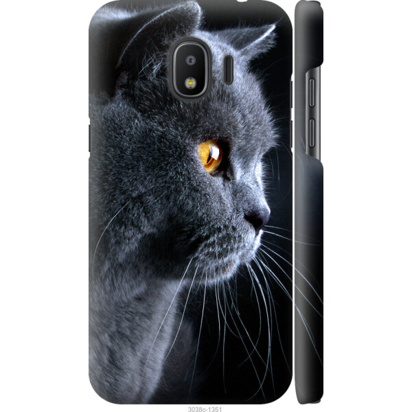 

на Samsung Galaxy J2 2018 Красивый кот