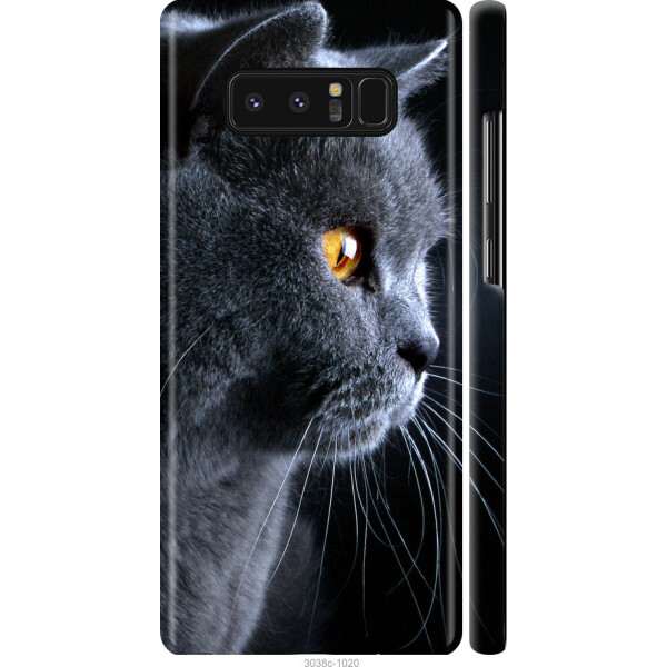 

на Samsung Galaxy Note 8 Красивый кот